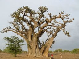 269120_10150257961869901_575851_n